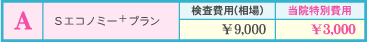 Sエコノミー＋プラン
