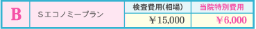Sエコノミープラン