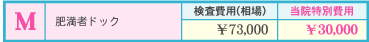 肥満者ドック